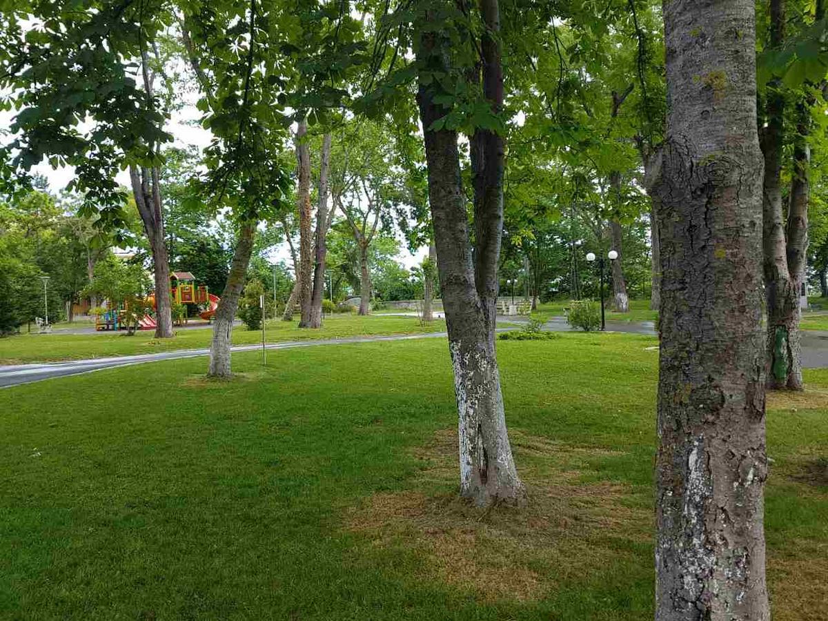 Villa Salena Primorsko Esterno foto
